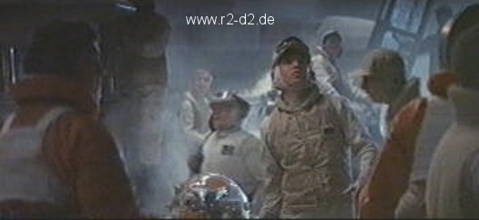 Head of an unknown R2